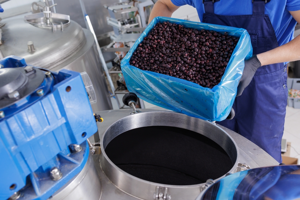 Worker pouring fresh berries into an industrial food processing machine
